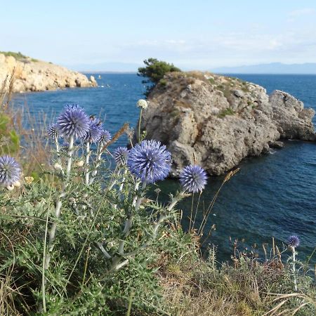 Apartamento Punta Montgo Port De Rei L' Escala 外观 照片