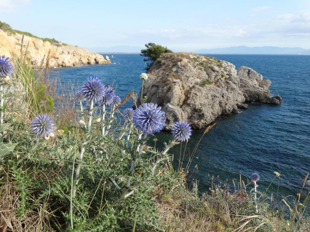 Apartamento Punta Montgo Port De Rei L' Escala 外观 照片